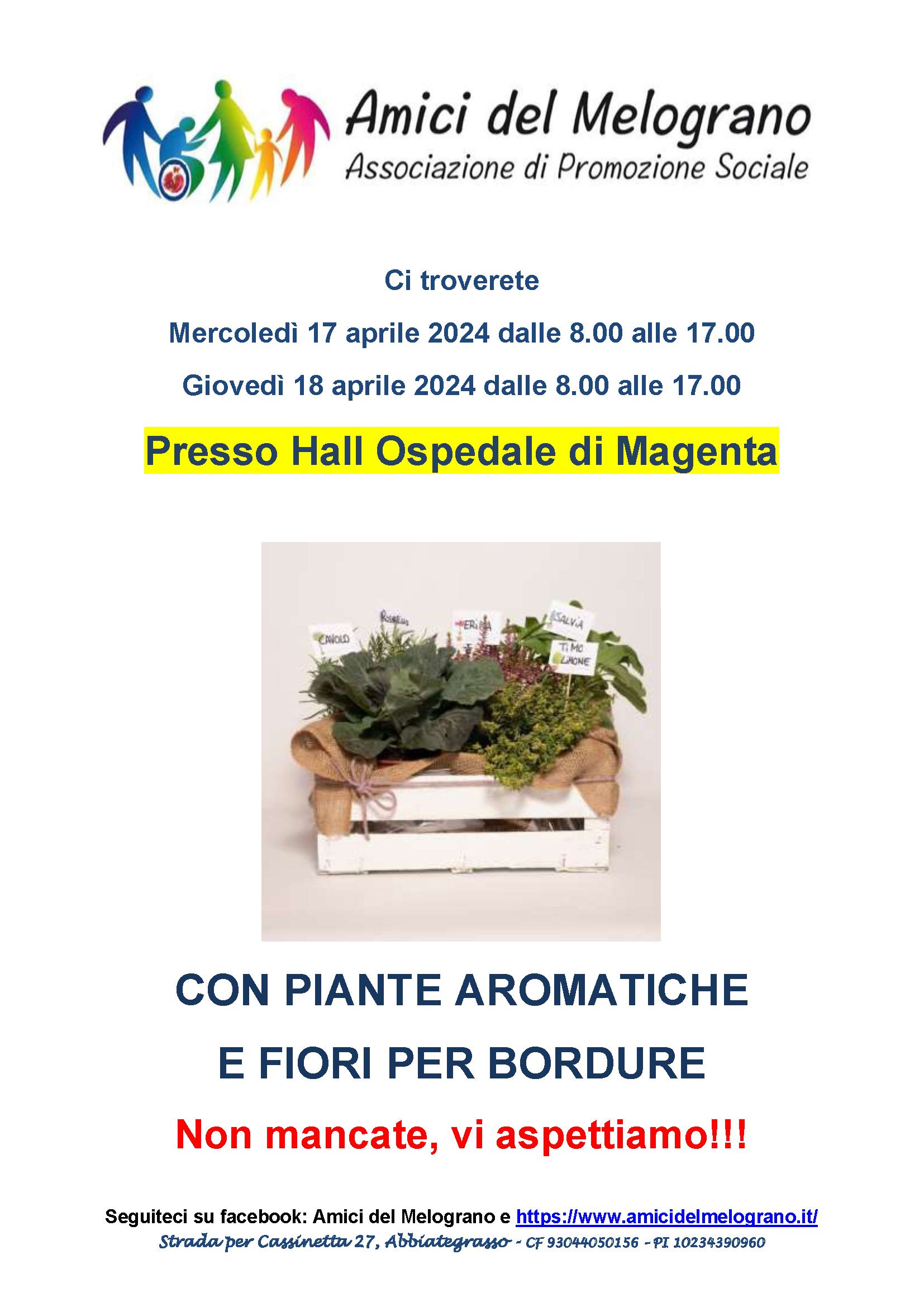 AROMATICHE E FIORI PER BORDURE